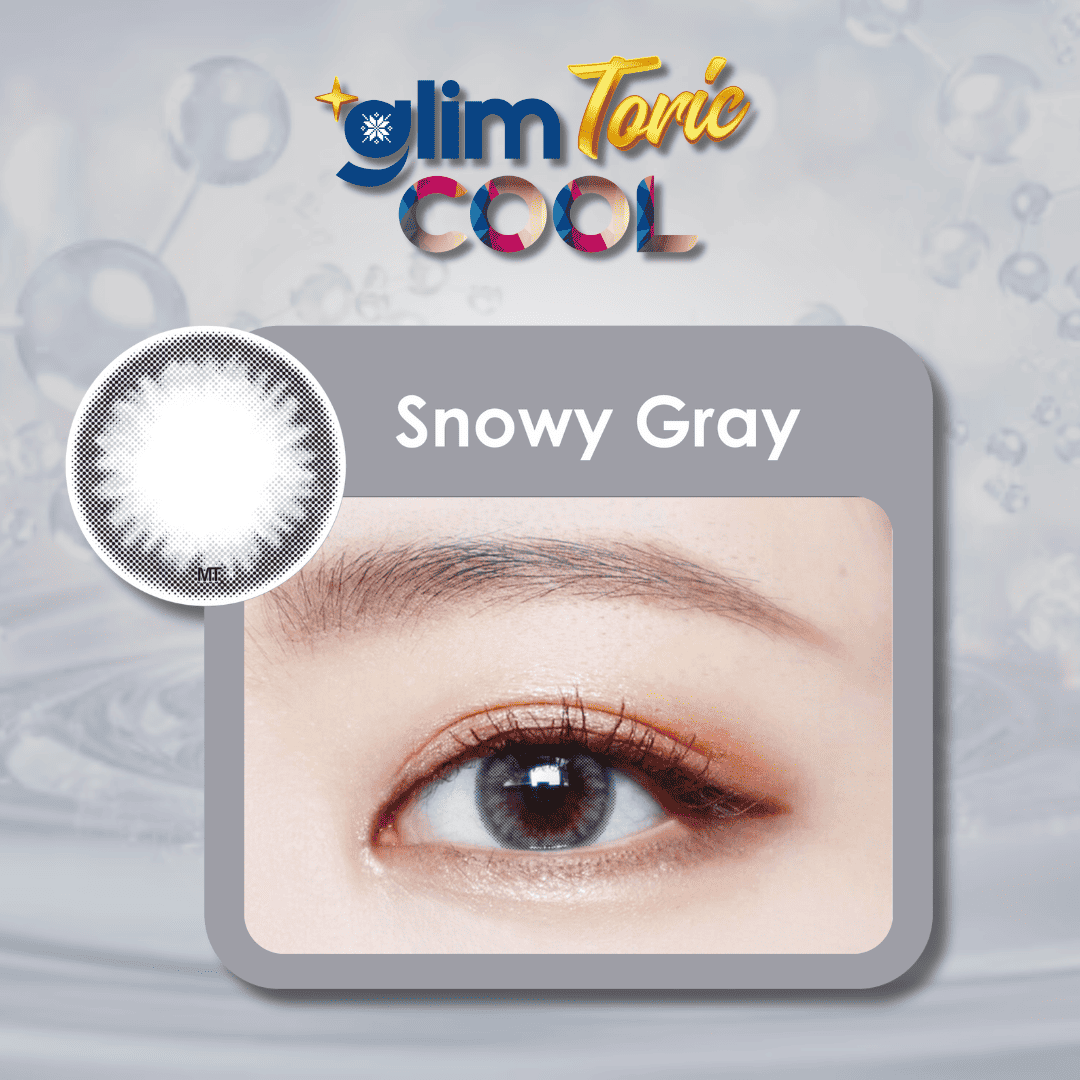Snowy Gray