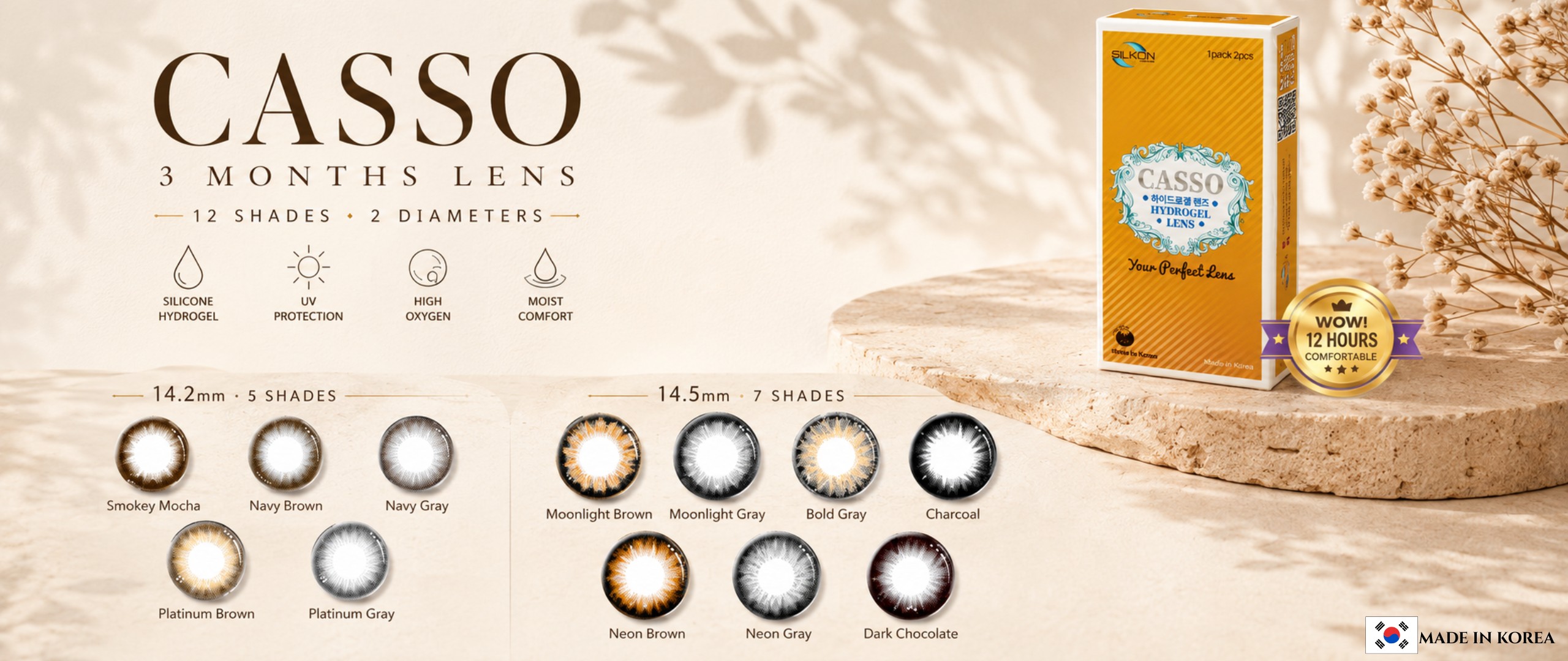 2025 Casso Home Banner
